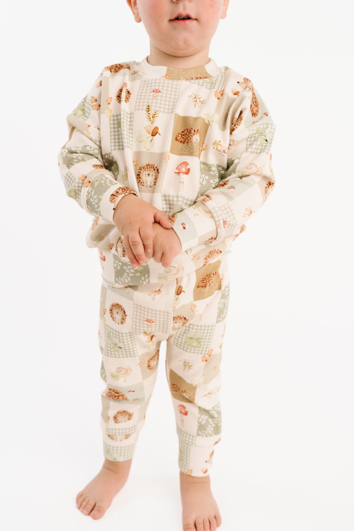 Hedgehog Patchwork Crewneck Set