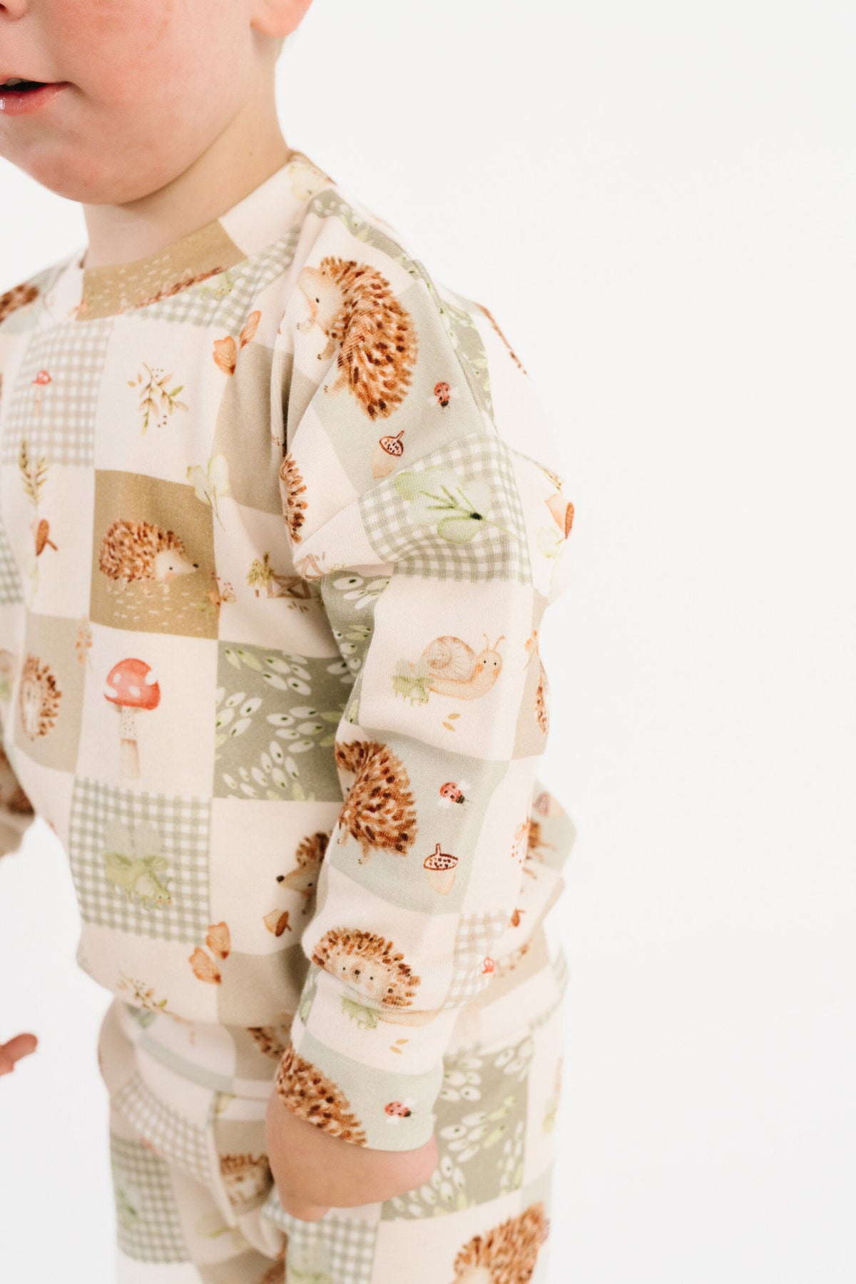 Hedgehog Patchwork Crewneck Set
